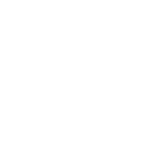 third academy logo in white